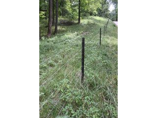 Property photo 53 - LAND AUCTION - 1,193+/- ACRES IN 14 TRACTS IN PIKE & GIBSON COUNTY, INDIANA